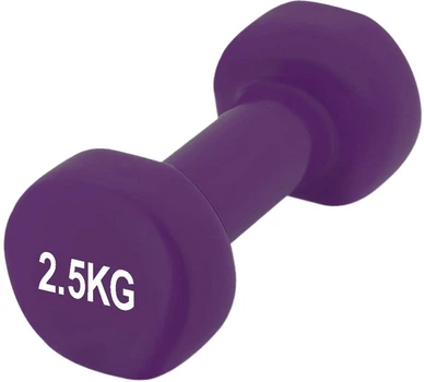 Гантель PowerPlay 4125 вінілова 2.5 кг Фіолетова (PP_4125_2.5kg)