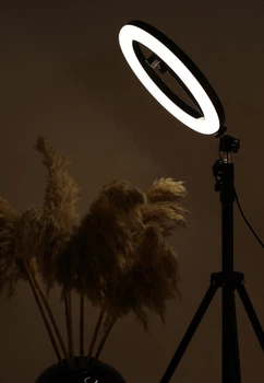 LED лампа 30 см Кільцева Black
