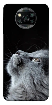 Чохол для Xiaomi Poco X3 NFC/Poco X3 Pro Epik Print Series Cute cat