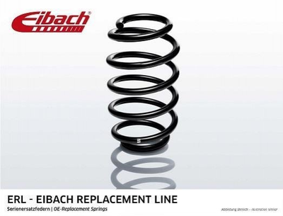Пружины и рессоры EIBACH R10047 Mercedes C-Class, E-Class 2023242504