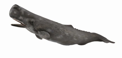 Кашалот Collecta 88835