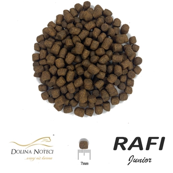 Sucha karma dla szczeniąt Dolina Noteci RAFI Junior z jagnięciną 10 kg (5902921305538)