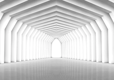 Флизелиновые фотообои в зал белый тоннель 254x184 см 3D современная геометрия (2651V4)+клей