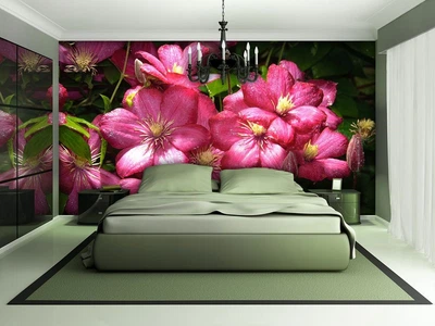 3d флизелиновые фотообои природа 254x184 см Много цветов клематиса (1557V4)+клей