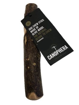 Палка из оливкового дерева Canophera (S)