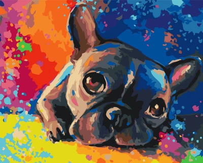 Картина по номерам Цветной бульдог 40x50 BS28895