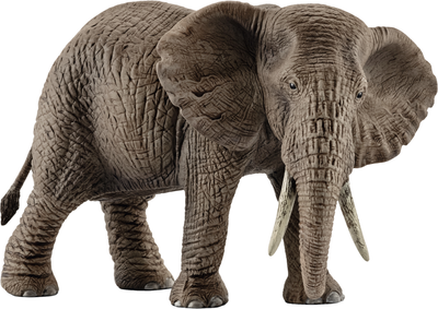 Іграшка-фігурка Schleich Африканська слониха 8 см (4005086147614)