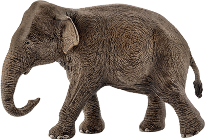 Іграшка-фігурка Schleich Wild Life Азіатська слониха (4005086147539)