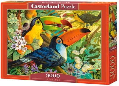 Puzzle Castorland Tukany 3000 części (5904438300433)