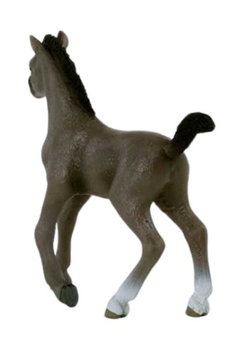 Фігурка Schleich Horse Club French Foal 10 см (4059433578736)