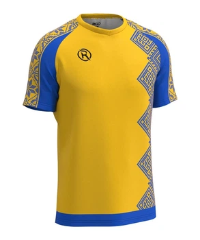 Волейбольная футболка мужская RIGO ADAMANT Yellow-Blue L