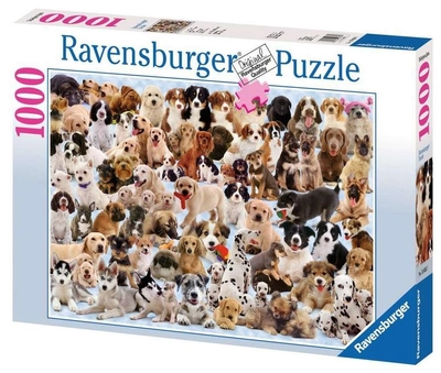 Puzzle Ravensburger Psy 1000 elementów (4005556156337)