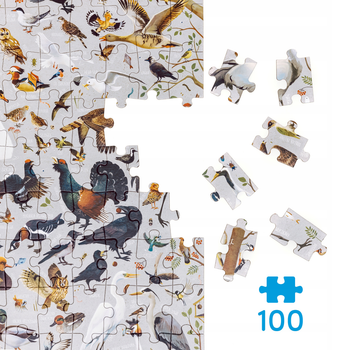 Puzzle Czuczu Puzzlove Ptaki 100 elementów (5902983491798)