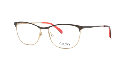 Оправа для окулярів GLORY 130 BROWN 55
