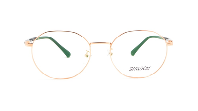 Оправа для окулярів SHADOW FB71101 C4 52