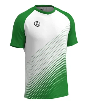 Волейбольна футболка чоловіча RIGO NORD White-Green L