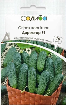 Семена огурцов Директор F1, 10 шт, Nunhems Zaden