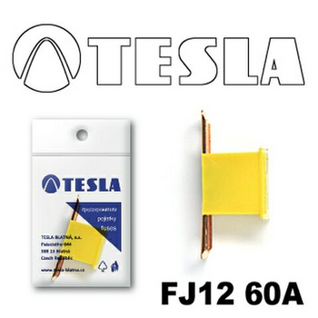 Запобіжник TESLA FJ12 "CARTRIDGE" 60A (TS FJ12 60A)