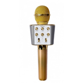 Караоке микрофон беспроводной WSTER WS-1688 Plus Gold (D-2019090497)