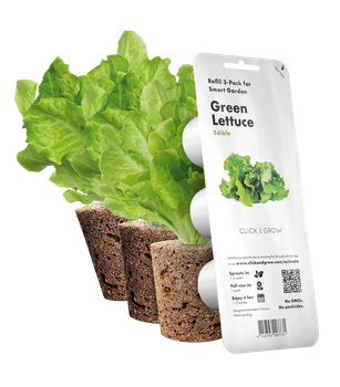 Wkład wymienny Click&Grow Sałatka zielona 3 szt (4742793007731)