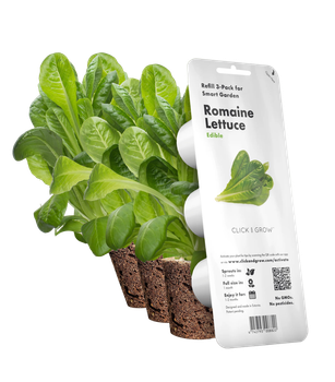 Wymienny wkład Click&Grow Sałata rzymska 3 szt (4742793008820)
