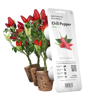 Wkład wymienny Click&Grow do papryczki chili 3 szt (4742793007311)