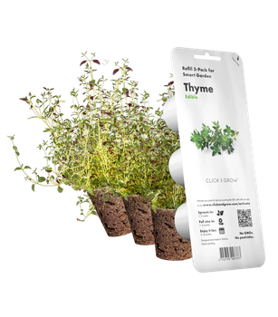 Wkład wymienny Click&Grow Tymianek 3 szt (4742793007373)