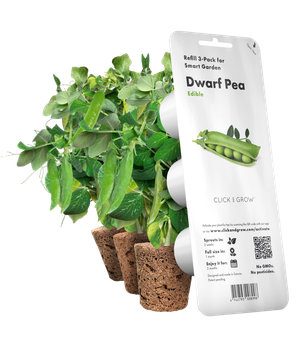 Wkład wymienny Click&Grow groszek karłowaty 3 kapsułki (4742793008998)