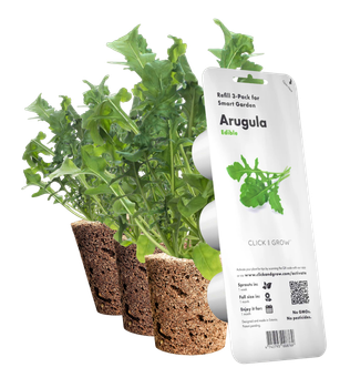 Wkład wymienny Click&Grow Rukola 3 szt (4742793008769)
