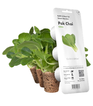 Wymienny wkład Click&Grow Bok Choy 3 szt (4742793009131)