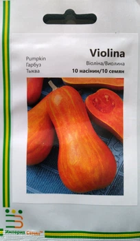 Семена Тыква Виолина 10г Hortus