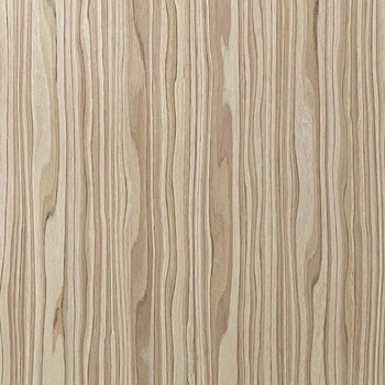 Шпон файн-лайн Classic Veneer Оливка Пріма 2800x640 мм (OLP 28)