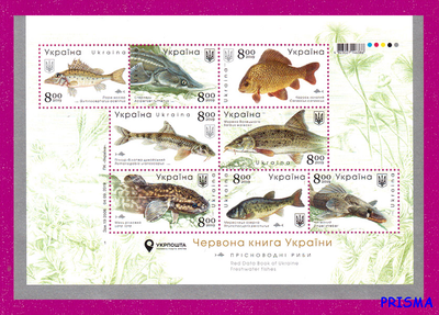 Марка 2019 року блок Червона книга України. Прісноводні риби