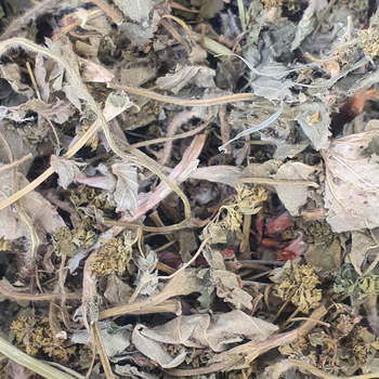Манжетка/приворотка трава сушена 100 г