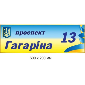 Адресні таблички Дніпро 60х20 см