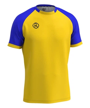 Футболка волейбольна чоловіча RIGO OMEGA Yellow-Blue M