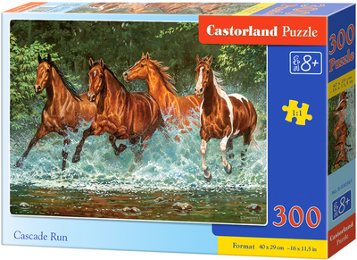 Puzzle Castor Cascade Run 40 x 29 cm 300 elementów (5904438030361)