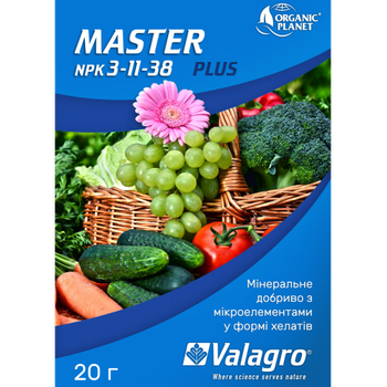 Мінеральне добриво Valagro Master (Мастер) 20 г, NPK 3-11-38