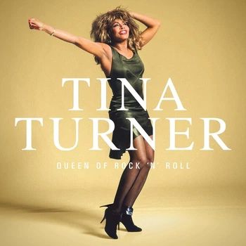 Виниловая пластинка Tina Turner Queen of Rock N Roll