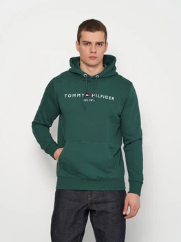 Худі чоловіче Tommy Hilfiger 11262.2 2XL (52) Зелене (smt2000000004761)