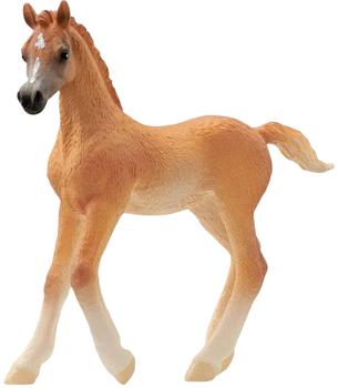 Figurka Schleich Horse Club Źrebak Arabski 8 cm (4059433753690)