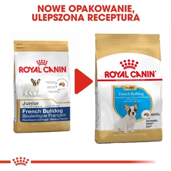 Sucha karma Royal Canin French Bulldog Puppy dla szczeniąt rasy buldog francuski 10 kg (3182550777674)