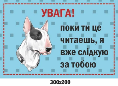 Попереджальна табличка Обережно, злий пес! 300х200 мм д-9256