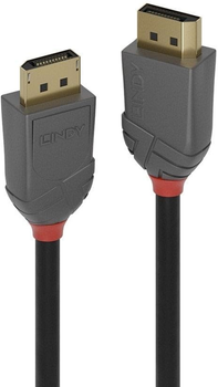 Kabel Lindy DisplayPort M/M 2 m Black (4002888364829)