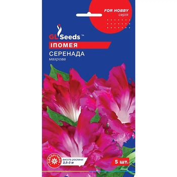 Семена Ипомея Серенада GL Seeds 5шт (For Hobby1874)