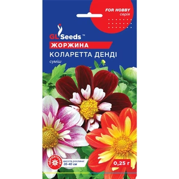 Семена Георгина Коларета Денди GL Seeds 0.25г (For Hobby980)