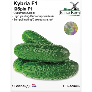 Насіння Огірок партенокарпік Кібрія F1 Beste Kern 10шт (For Hobby2527)