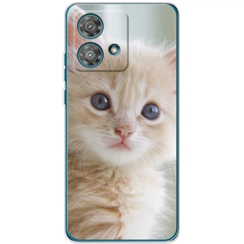 Силіконовий Чохол з Картинкою для Motorola Edge 40 Neo Принт (Котик) (50711-ysm99)