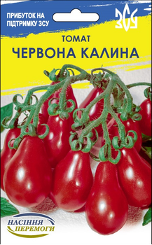 Насіння Перемоги Томат Червона калина 1г Насіння України