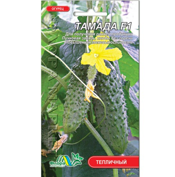 Насіння огірок Тамада F1 дуже ранній тепличний 0.25 г